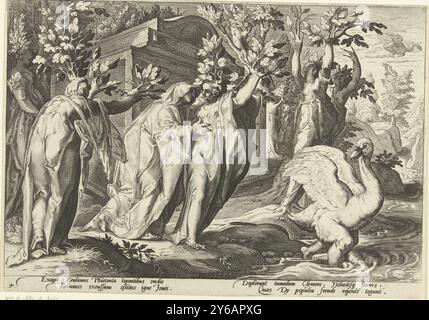 Phaëthon's sisters turn into poplars and his friend into a swan, Ovid's Metamorphoses (series title), The daughters of the sun god (the Heliades) mourn their brother Phaëton and turn into poplars. His friend and relative Cycnus turns into a swan while mourning. Two lines of Latin text underneath the scene. This print is part of a series of 52 prints that depict stories from Ovid's Metamorphoses. This series is divided into three numbered series: two of 20 prints and one of 12 prints. This print belongs to the second series., print, print maker: Hendrick Goltzius, (workshop of), after design by Stock Photo