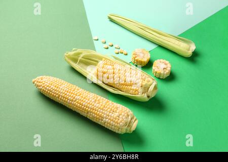 Fresh corn cobs and seeds on colorful background Stock Photo