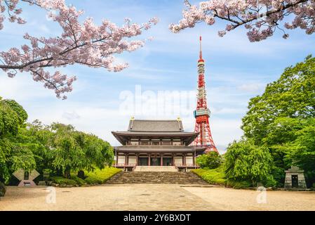 main hall of zojoji and tokyo tower located at Tokyo city in japan Stock Photo