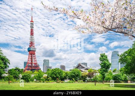 main hall of zojoji and tokyo tower located at Tokyo city in japan Stock Photo