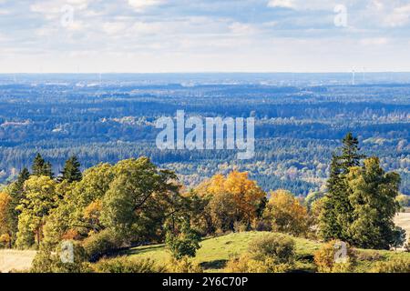 Trees with autumn colors on a hill in a beautiful forest landscape Stock Photo