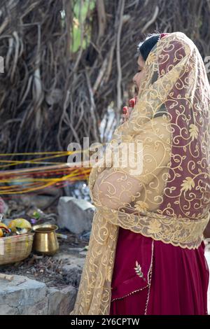 devotee worshiping the holy banyan tree with offerings at day on the occasion of Banyan tree worship festival, (Vat Savitri Puja) India. Stock Photo