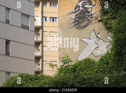 old building with graffiti and creeping vegetation beside new buildings Stock Photo