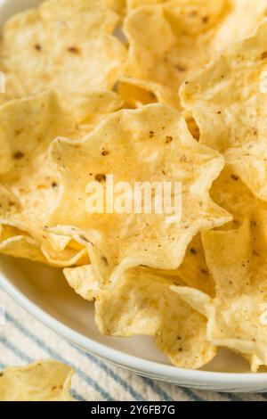 Organic Cron Tortilla Chip Scoops in a Bowl Stock Photo