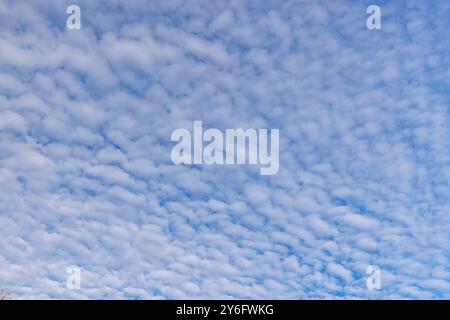 High altitude cirrocumulus clouds, Finland Stock Photo