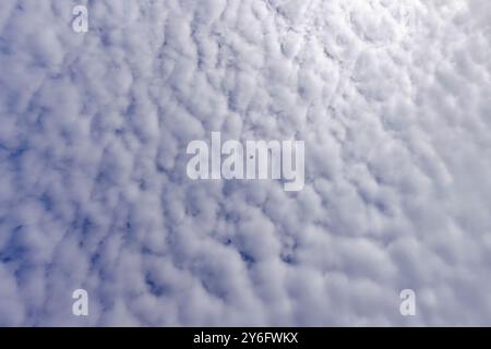 Altocumulus wispy clouds filling the sky,Finland Stock Photo