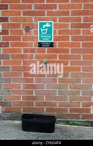 On the side of public toilets in a Suffolk market town a signed tap providing drinking water with a black plastic bin below for thirsty dogs. Stock Photo