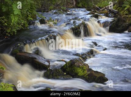 Waterfall on a forest stream among stones and trees, Karelia, north of Russia, long exposure Stock Photo