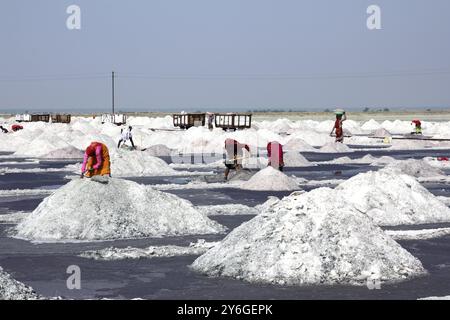 Salt mining on Sambhar lake in India Stock Photo