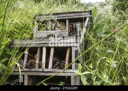 Wooden DIY-built insect and bee hotel in the garden of a city house. Close-up and detail Stock Photo