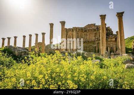 View on the Roman ruins of Nymphaeum at Gerasa, Jerash, Jordan. Travel and tourism in Jordan Stock Photo