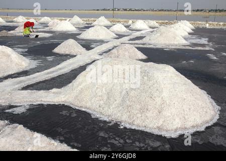 Salt mining on Sambhar lake in India Stock Photo