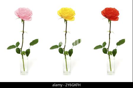 Single rose in vase, three color options Stock Photo