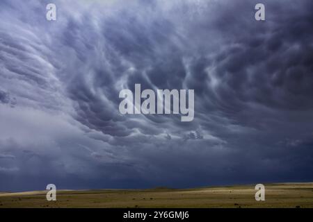 Formation of Mammatus clouds over steppe, dramatic sky background Stock Photo