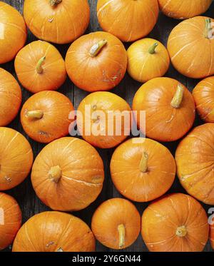 Food, Autumn background for text with pumpkins. Top view. Copy space Stock Photo