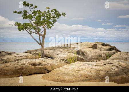 Lake Malawi beach view in Chinteche with trees and rock in foreground. Travel and tourism in Africa Stock Photo