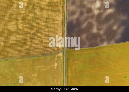 Aerial top view drone photography of a land with sown green fields in countryside Stock Photo