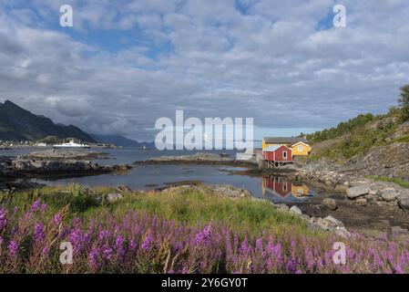 Traditional fishermen's houses, called rorbuer, on the rocky coast of the Vestfjord, Sorvagen, Lofoten, Norway, Europe Stock Photo