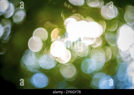 Intentional out of focus circular blur with white bokeh balls on a green background. Abstract shot Stock Photo