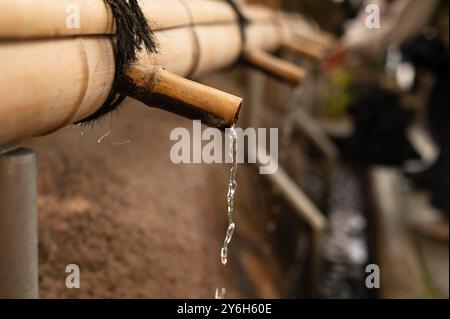 Clear water gently flows from bamboo spouts in a traditional setting, creating a tranquil and serene atmosphere with soft movement. Stock Photo