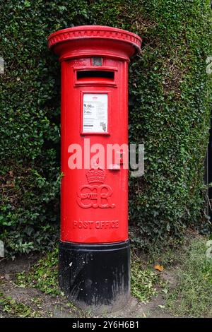 Welshpool, Wales, UK - September 6, 2024; Rare King Edward VIII cypher on red post office pillar box along hedgerow Stock Photo