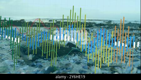 Financial data analysis image over rocky beach background Stock Photo