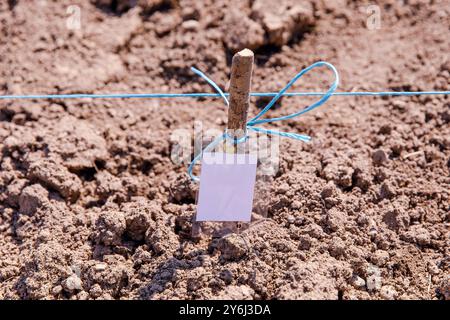 Wooden stake, blue rope, blank tag in freshly cultivated soil, indicating agricultural preparation concept Stock Photo