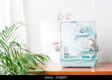 Curated visual reference: Visual Reference: A Vibrant Hamster Cage With Wheels And Accessories Set Against