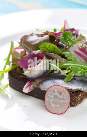 Estonian sandwich with anchovies Stock Photo