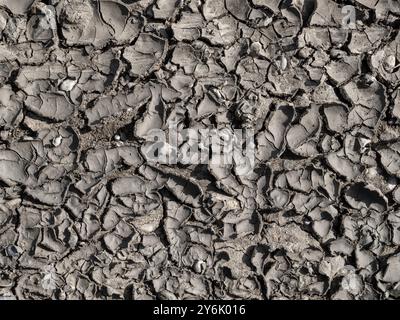 Cracked earth, dried mud, Bavaria, Germany, Europe Stock Photo