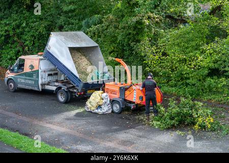 Man arborist contractor using a heavy-duty wood chipper to produce wood chippings from cut tree branches, England, UK Stock Photo