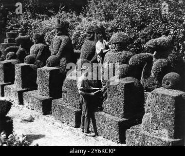 Trimming the topiary from box hedge in the garden at Hever Castle Near Edenbridge Kent   1938 Stock Photo