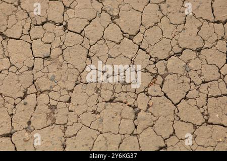 A photo of dry cracked ground Stock Photo