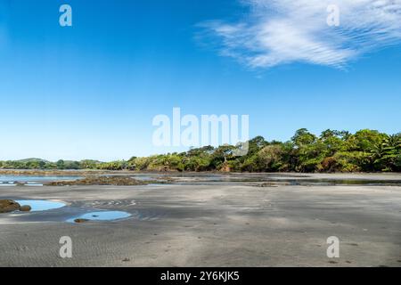 scenic fine sandy beach at Cavolebora in Panama with nearby jungle Stock Photo