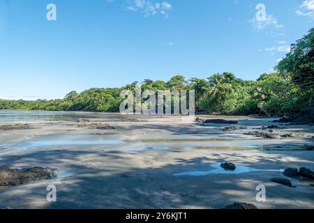 scenic fine sandy beach at Cavolebora in Panama with nearby jungle Stock Photo