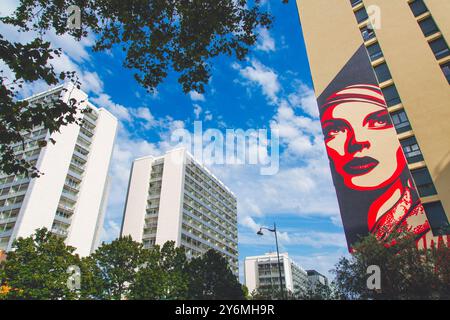 France, Ile-de-France, Paris, 13th district, Hope by Shepard Fairey (OBEY) Stock Photo