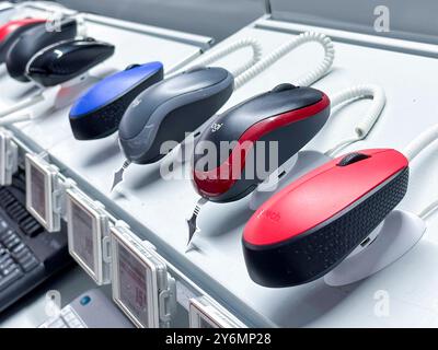 Mouse alignment in a specialized computer store Stock Photo
