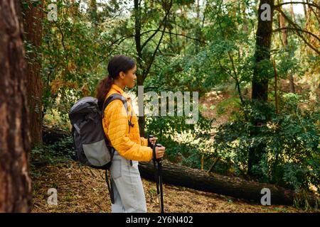 In a beautiful forest, a young woman enjoys her hike amidst the colorful autumn foliage. Stock Photo