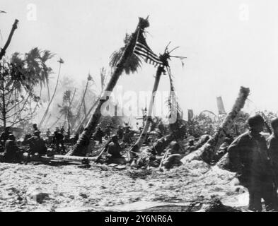 An hour after American troops landing on Butaritari beach, Makin atoll, 20th November 1943, the American flag was flying from a palm tree.  It was the 165th infantry, the former 'Fighting 69th' that took the Gilbert Island from the Japanese. Stock Photo