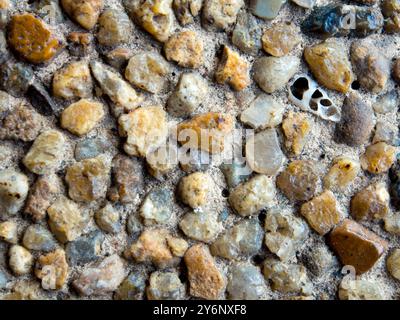 Fossil of seashell mixed in the gravel of exposed aggregate finish flooring Stock Photo