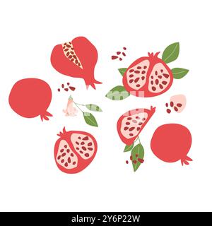 Hand drawn abstract fruit pomegranate plant set. Whole fruit, slices, pieces and leaves, flowers. Can used for posters, labels, patterns. Stock Vector