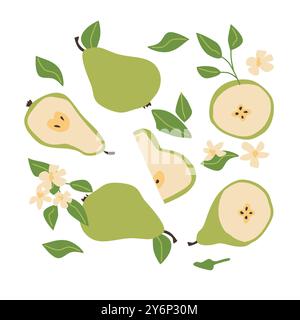 Hand drawn flat vector pears whole, slices, leaves and flowers set. Modern fruit pattern with pears. Plant parts. Abstract simple fruit illustration in retro colors. Stock Vector