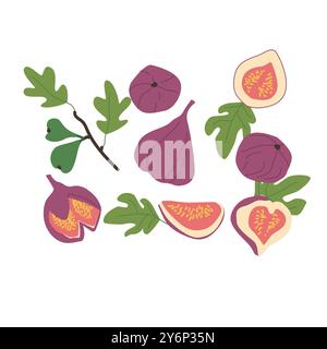 Abstract fig set. Modern vector illustration of fig branch, leaves and whole, slices, pieces, half of fruit. Plant parts. Hand drawn flat clip arts for patterns, posters, cards. Stock Vector