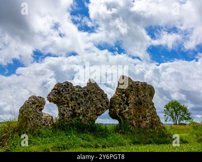 The King's Men, a stone circle that was constructed in the Late Neolithic or Early Bronze Age, part of the Rollright Stones in Oxfordshire UK Stock Photo