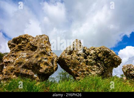 The King's Men, a stone circle that was constructed in the Late Neolithic or Early Bronze Age, part of the Rollright Stones in Oxfordshire UK Stock Photo