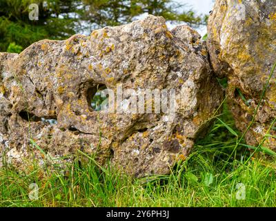 The King's Men, a stone circle that was constructed in the Late Neolithic or Early Bronze Age, part of the Rollright Stones in Oxfordshire UK Stock Photo