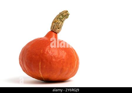 Pumpkin isolated on white background Stock Photo