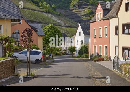 Brunnenstrasse with houses and vineyards in Bremm, Cochem-Zell district, Rhineland-Palatinate, Germany, Europe Stock Photo