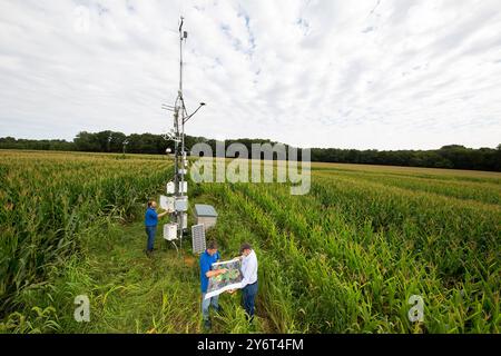 Scientists Reviewing Environmental Data Stock Photo