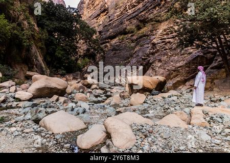 WADI LAJAB, SAUDI ARABIA - NOVEMBER 24, 2021: Local tourist in Wadi Lajab canyon, Saudi Arabia Stock Photo